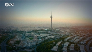 طراوت همدلی