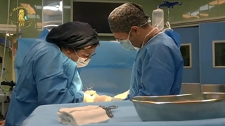 تولد هدیه آسمانی 