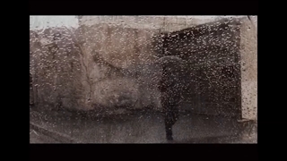 می‌رود در باران...(شاتِ شاعرانه).امیر خوشاوی