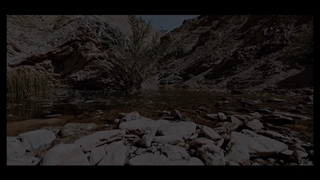 تو را چه نسبتی‌ست؟...(شاتِ شاعرانه).امیر خوشاوی