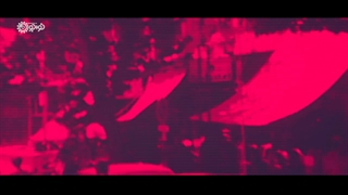 زیبایی یک ارزش