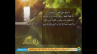 امربین المرین.فرازی ازنهج البلاغه امام علی(ع)