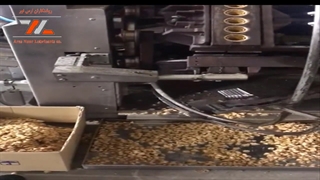 گریس بیرینگ