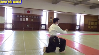 تایدو چه نوع هنر رزمی می باشد؟! - زیرنویس فارسی