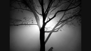 دروغ میگن بعد هر سختی ، آسانی‌ست ... ( موسیقی بیکلام مادرانه اثر کارن همایونفر )