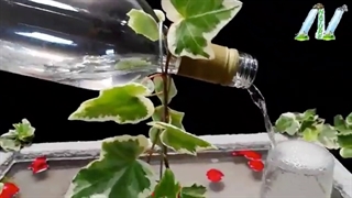 How to make a Fountain using a Glass Bottle very easy / DIY
