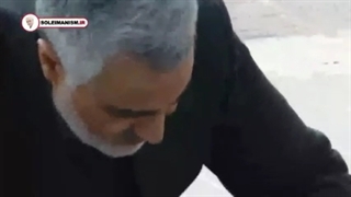 گل ارغوان آر اف فرکشنال