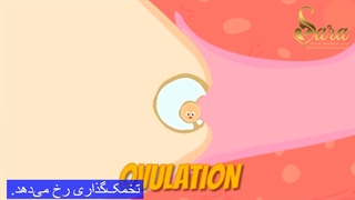 تاثیر اختلالات تیروئید بر بارداری