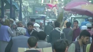 چرایی حمایت مولوی عبدالحمید از طالبان