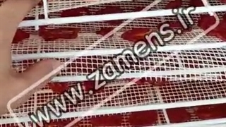 تولید گوجه خشک به کمک دستگاه خشک کن صنعتی | زامنس