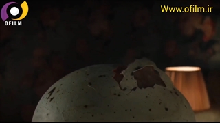 سکانسی جذاب فیلم "جوجه کشی"