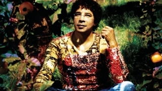 Laurent Voulzy - Rockollection