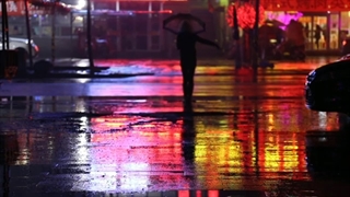 s0cliché - did your heart stand still (lyrics) نایتکور