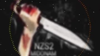 اهنگ جدید NZS2