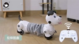 سگ کنترلی و سنسور دار مدل 603-777