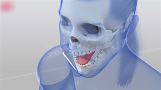 زاویه سازی فک