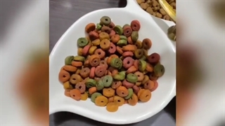 راه تشخیص اصل بودن غذای رفلکس سگ و گربه