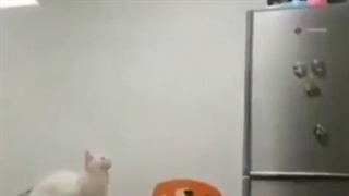 نحوه خیز گرفتن من به سمت ارزوهام !