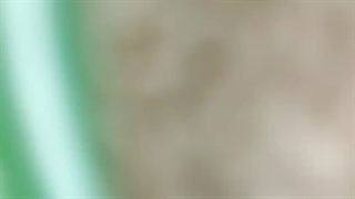 جوراب بچه گانه پپرتس کیلویی