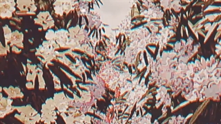 میکس از انیمه:شهر اشباح