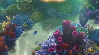 Finding Dory