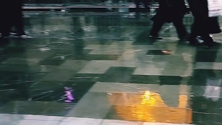 سحرگاه بارانی