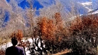 مهدی میرزائی کوهستان چهجا