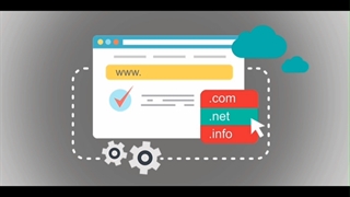 خرید دامین در تهران