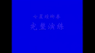 فرم مشت مانتیس چوان هفت ستاره شائولین میمون سفید