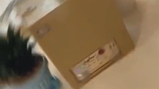 رطوبت ساز سالن قارچ ، رطوبت ساز التراسونیک 09197443453