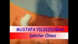 شهیدلر اؤلمز وطن بولونمز