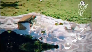 سالتونو کنار کی تحویل کردید؟