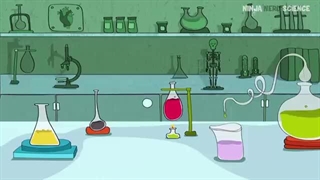 Endocrinology | Synthesis of Thyroid Hormone