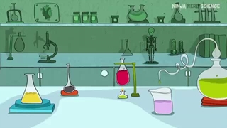 Embryology | Development of the Placenta