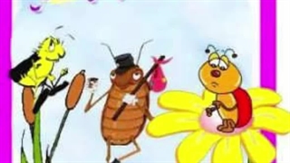 کفشدوزک و دوستانش