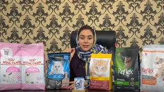 انتخاب بهترین غذای بچه گربه