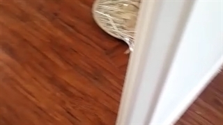 کار اجرا شده کفپوش pvc برند دبست کد 6