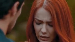 سریال واکنش