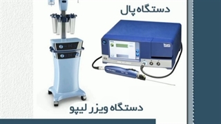 پال بهتر است یا ویزر