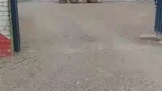 تیزر تبلیغاتی نمایشگاه ترانزیت