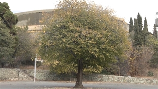 جشنواره کتاب