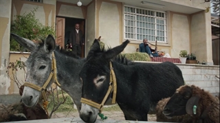 سریال آنتن قسمت 10 | سریال آنتن قسمت دهم