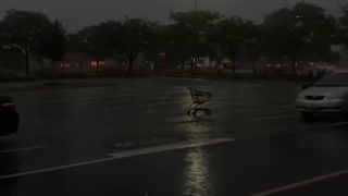 محکوم به سکوت