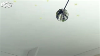 Lucas the Spider