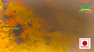 Indian Traditional Chicken & Mutton Biryani order with NFBD Group | பிரியாணி !!