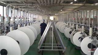 ساخت کارخانه تولید انبوه لیوان یکبار مصرف