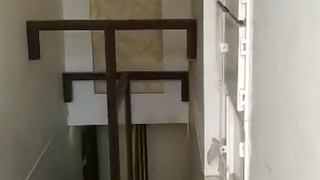 باشگاه پرانیک