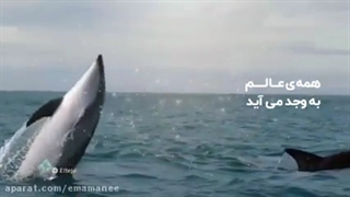 به وجد آمده جهان از شوق وجودت