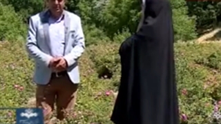 معرفی کسب درآمد میلیاردی از کشت گل محمدی بدون خار