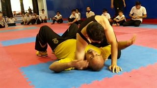 آموزش گراپلینگ و درگیری در خاک سیستم وینگ چون